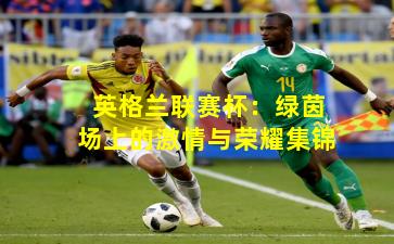 英格兰联赛杯：绿茵场上的激情与荣耀集锦