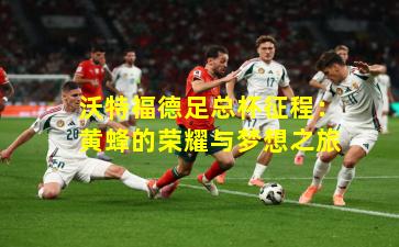 沃特福德足总杯征程：黄蜂的荣耀与梦想之旅