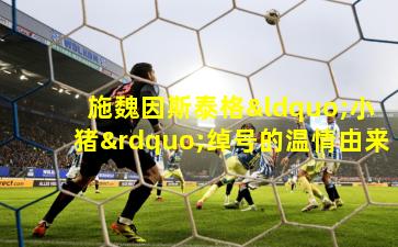 施魏因斯泰格“小猪”绰号的温情由来