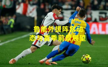 鲁能外援阵容动态与赛季前景展望