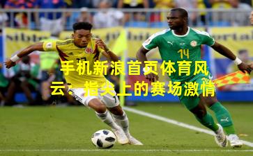 手机新浪首页体育风云:指尖上的赛场激情