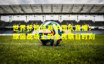 世界杯预选赛中国队直播:绿茵战场上的全民瞩目时刻