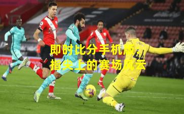 即时比分手机版:指尖上的赛场风云