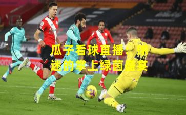 瓜子看球直播：球迷的掌上绿茵盛宴