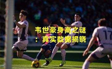 韦世豪身高之谜:真实数据揭晓